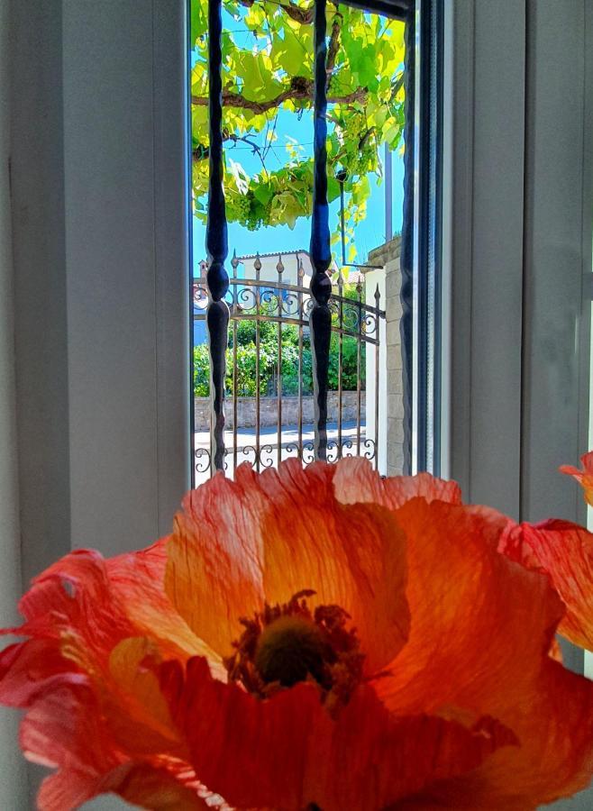 Casa Isabella B&B Capodistria Esterno foto